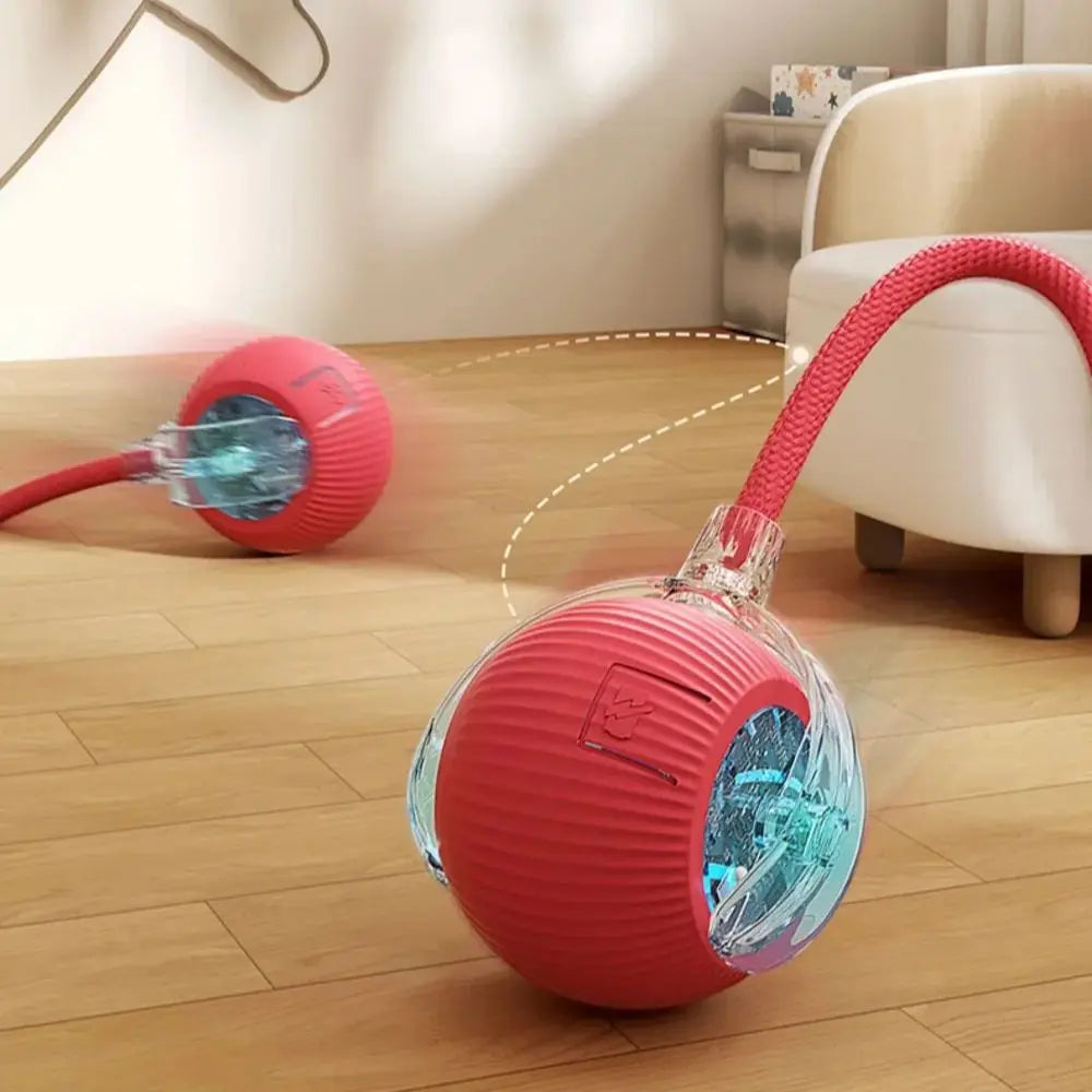 New Cat Interactive Ball Toy Automatic
