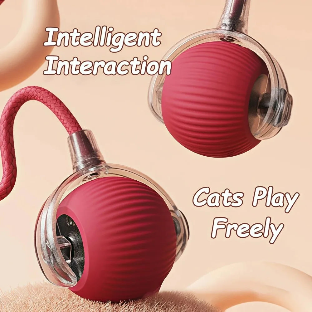 New Cat Interactive Ball Toy Automatic