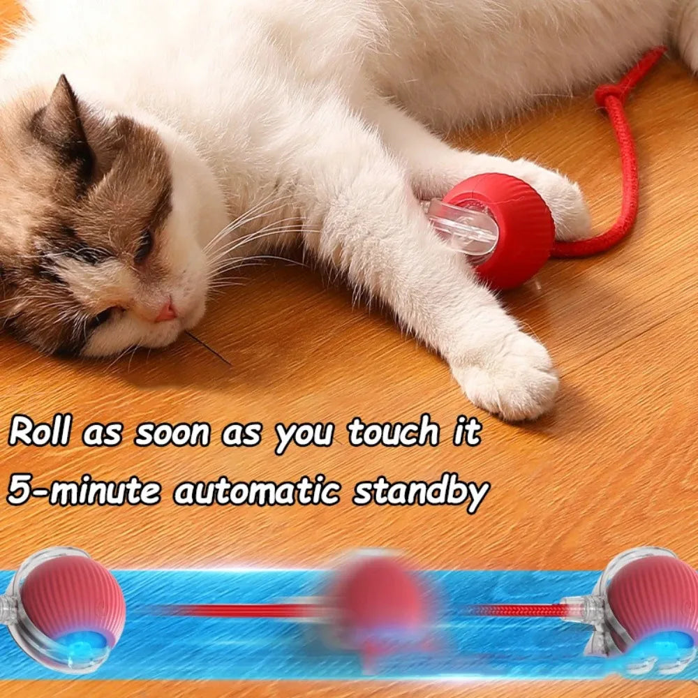 New Cat Interactive Ball Toy Automatic