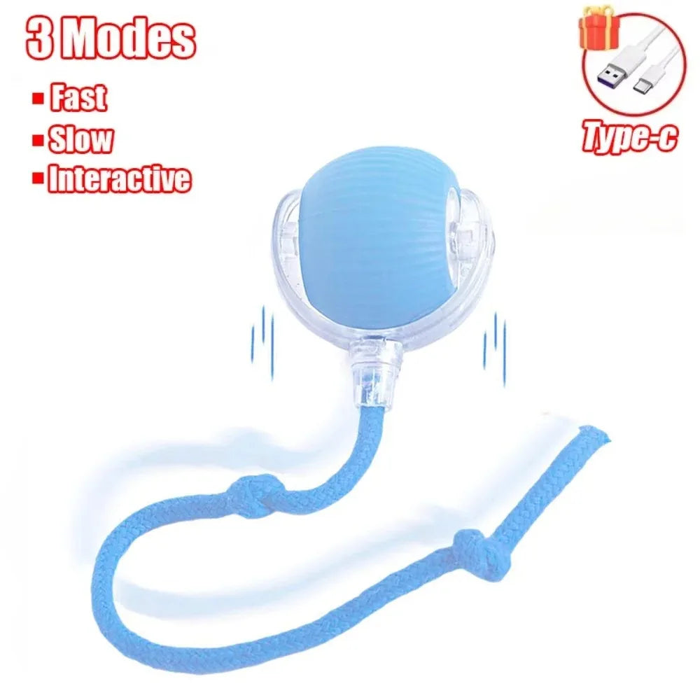 New Cat Interactive Ball Toy Automatic