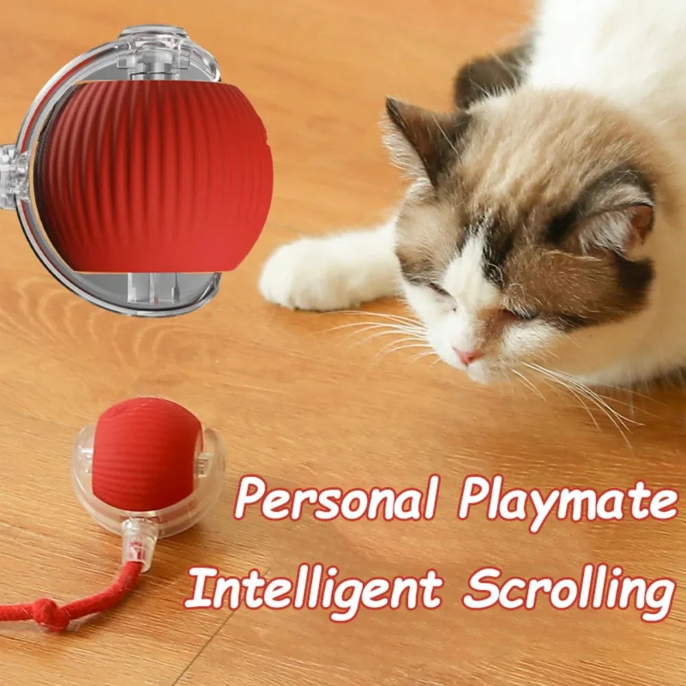 New Cat Interactive Ball Toy Automatic