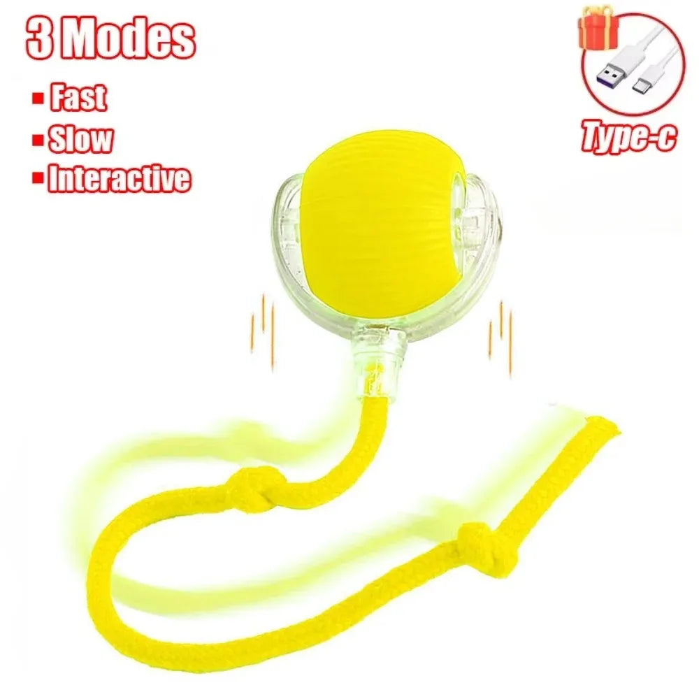 New Cat Interactive Ball Toy Automatic